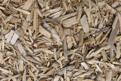 biomass boilers Cnip