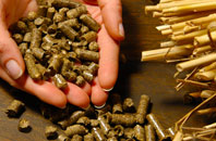 free Cnip biomass boiler quotes